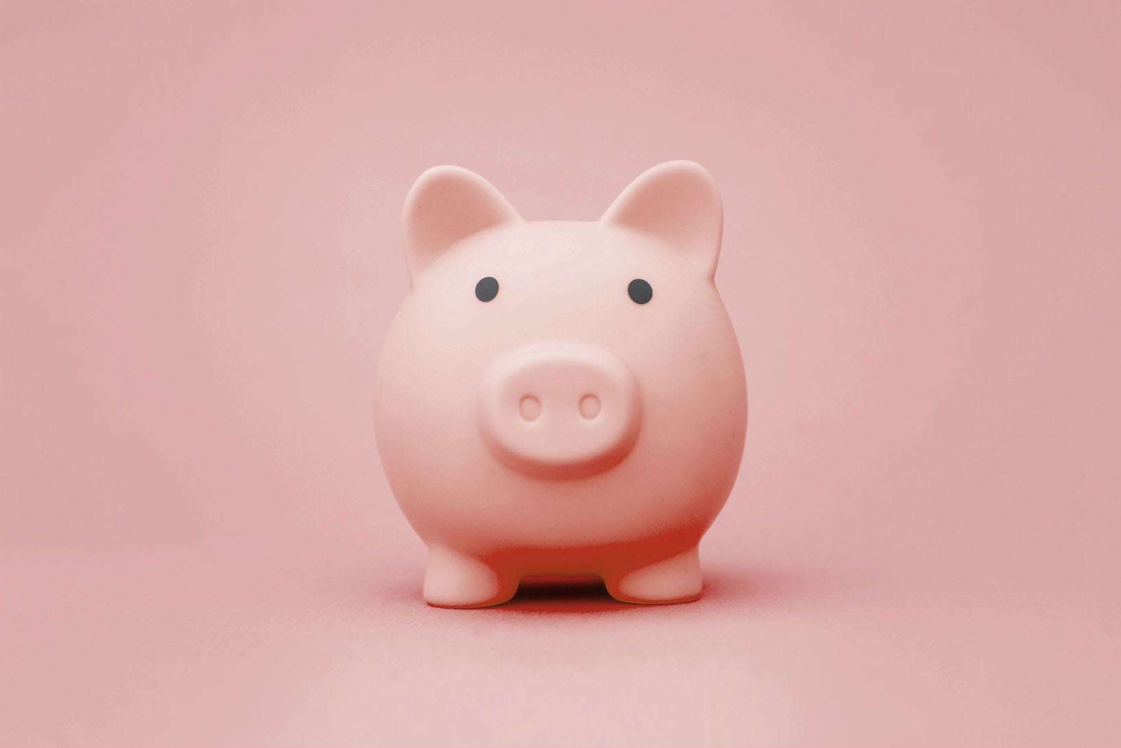 Pink Piggy Bank